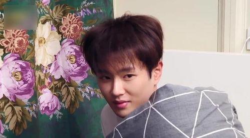 娱乐吃瓜酱少爷是谁,他是谁？在娱乐圈有何影响力？  第2张